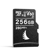 AV PRO microSD 256 GB V60