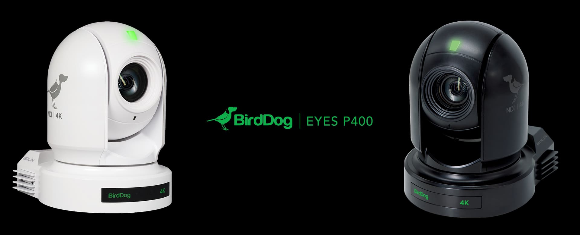 BirdDog Eyes P400