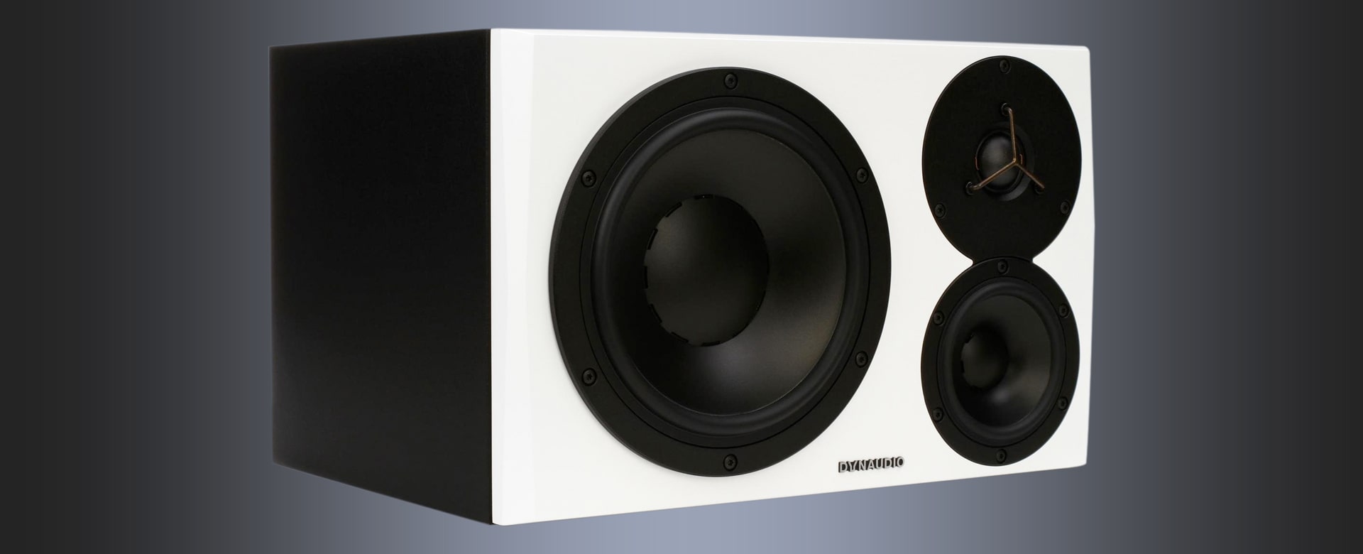 Dynaudio LYD 48