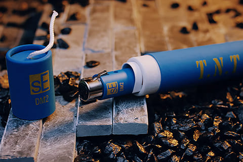 sE Electronics DM2 TNT